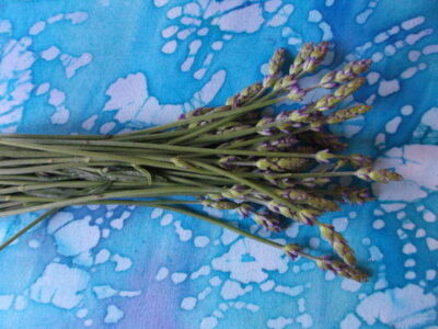 6 Multi-use Flowers that Do Double Duty Image